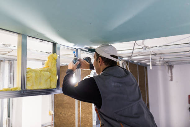 Best Eco-Friendly Insulation in Carson, WA