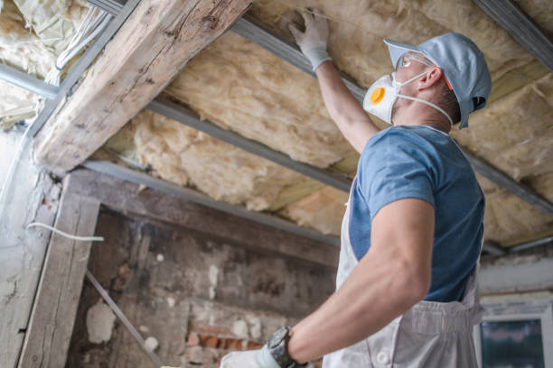 Best Residential Insulation in Carson, WA